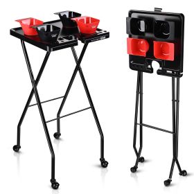 Folding Salon Tray